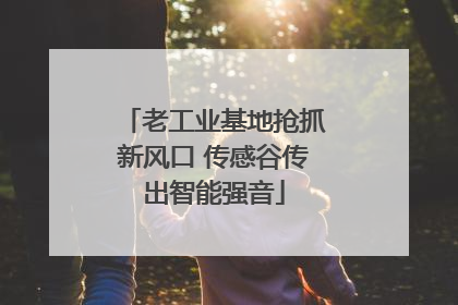 老工业基地抢抓新风口 传感谷传出智能强音